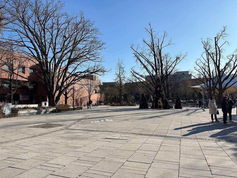 겨울 마로니에공원 광장